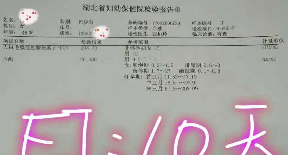 助孕