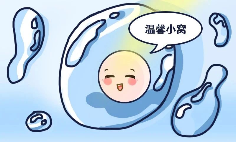 Թǰ׼ʲô