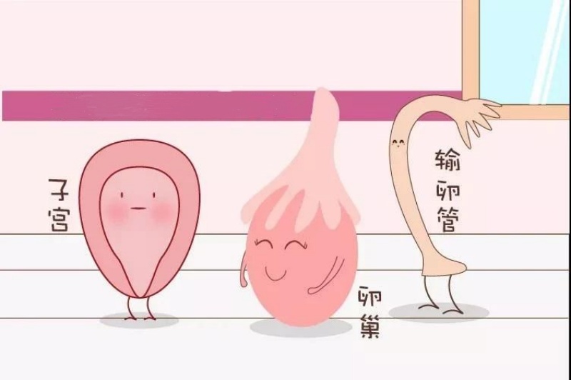 Ⱥȶˣѳ