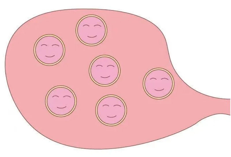 ӺУȰѡӡִԲѹպã