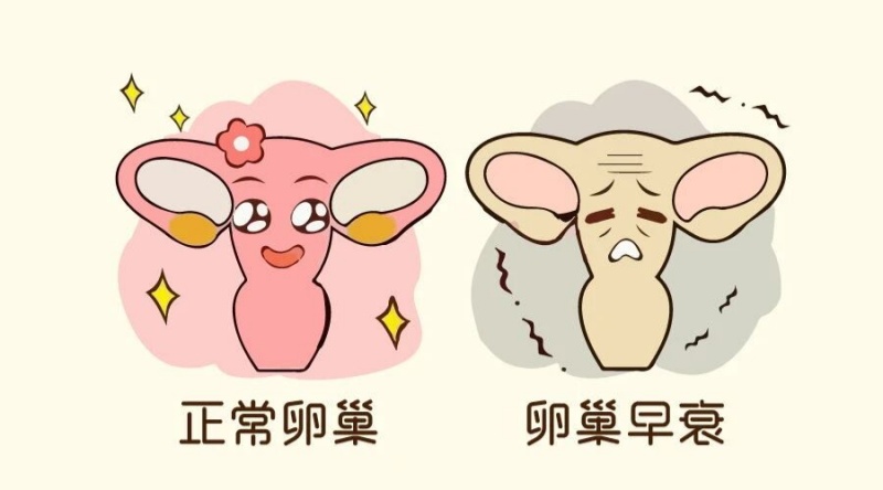 ����Ҫ�ޣ��Թ�����·������-���Ĳ�ͬ�������ʵ����