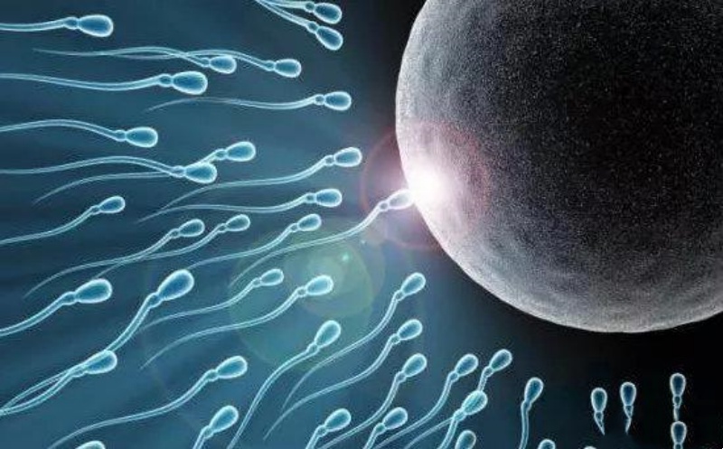 �Թ����гɹ��ıر�����������������߱��˼�����