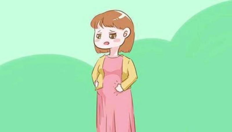 ��ֲ��û�κθо���������ʲô��